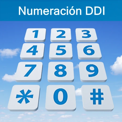 Numeración DDI_España